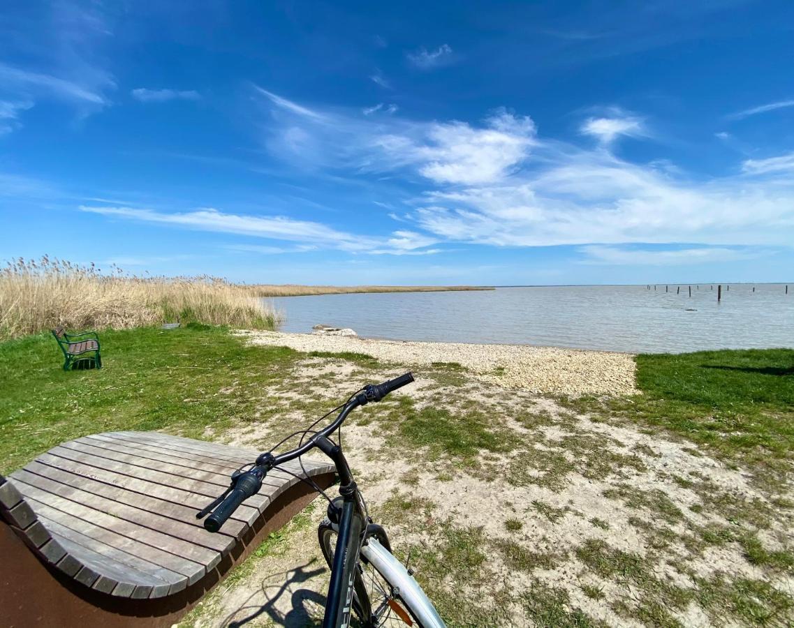 Sammer Residenz, Breitenbrunn Am Neusiedlersee Ngoại thất bức ảnh